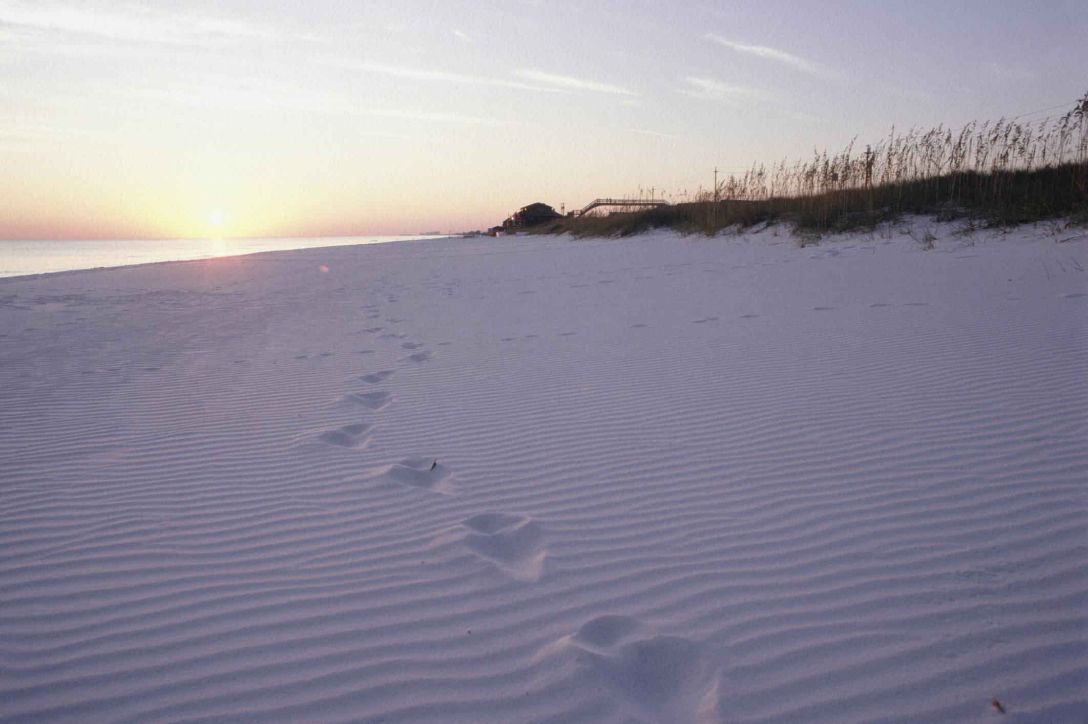 Nature Coast