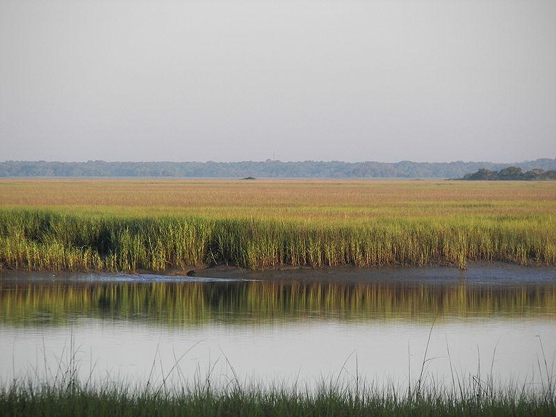 Lowcountry