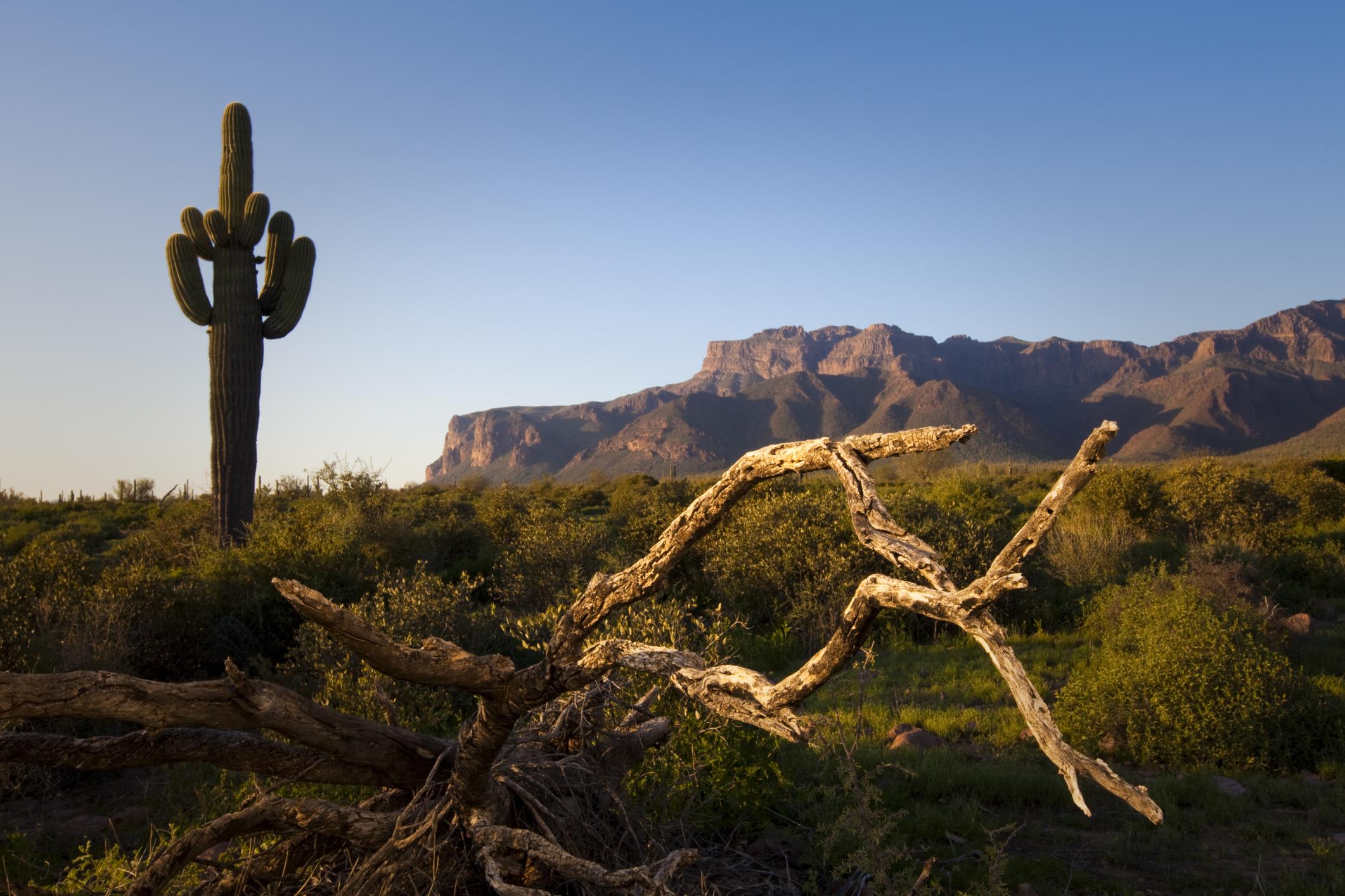 Superstition Mountains - Apache Junction